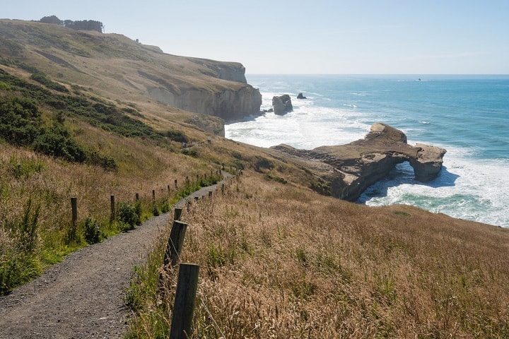 Best Walks to Try in Dunedin | New Zealand Rent A Car