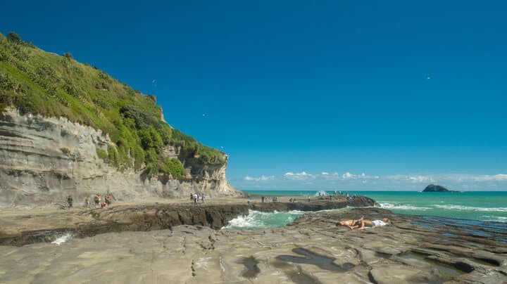 Piha Beach And Other North Auckland Beaches