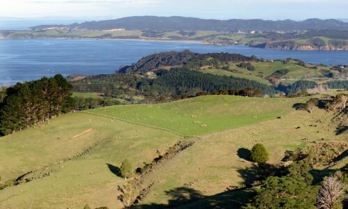 Matakana, Mathesons Bay